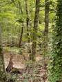 0 Hargrove Road - Photo 6