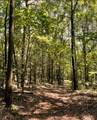 17796 Dry Branch Loop - Photo 38