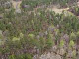 Lot 2 Pine Ridge Way - Photo 12