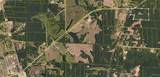 Lot 4 Sugarberry Farms - Photo 11
