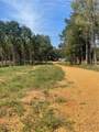 Lot 4 Sugarberry Farms - Photo 3