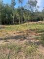 Lot 4 Sugarberry Farms - Photo 4