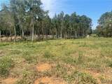 Lot 4 Sugarberry Farms - Photo 6