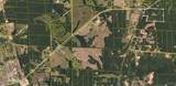Lot 5 Sugarberry Farms - Photo 14