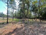 Lot 5 Sugarberry Farms - Photo 3