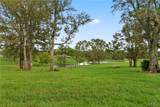 11009 Tierce Patton Road - Photo 69