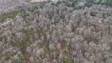 2530 County Road 45 - Photo 13