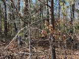 00 Ashborough Drive - Photo 9