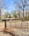 15667 Butler Ridge Road - Photo 15
