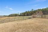 11490 Seven Oaks Farm Dr - Photo 58