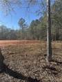1 & 2 Gorgas Rd - Photo 6