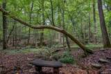 11075 Crocker Drive - Photo 56