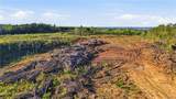 0 Highway 269 - Photo 3