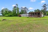 11316 Marion Oaks Drive - Photo 6