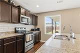 7311 Red Maple Circle - Photo 16