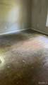 570 Camellia - Photo 5