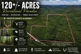 000 Al Hwy 102 - Photo 1
