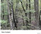 000 Al Hwy 102 - Photo 21