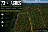 000 Jim Allred Road - Photo 1