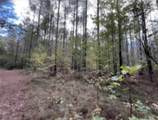 000 Jim Allred Road - Photo 14