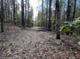 000 Jim Allred Road - Photo 15