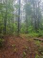 000 Jim Allred Road - Photo 3