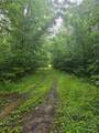 000 Jim Allred Road - Photo 6