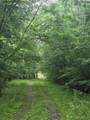 000 Jim Allred Road - Photo 7