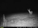 16060 Us 278 - Photo 65