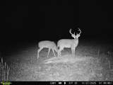 16060 Us 278 - Photo 66