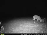 16060 Us 278 - Photo 67