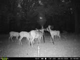 16060 Us 278 - Photo 68