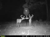 16060 Us 278 - Photo 69