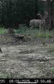 16060 Us 278 - Photo 70
