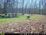 16060 Us 278 - Photo 71