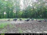 16060 Us 278 - Photo 72