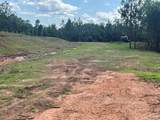 Lot 8 Longleaf - Photo 1