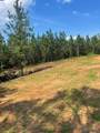 Lot 8 Longleaf - Photo 4
