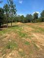Lot 8 Longleaf - Photo 9