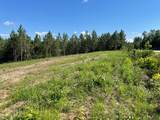 Lot 5 Longleaf - Photo 1