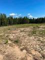 Lot 3 Longleaf - Photo 4