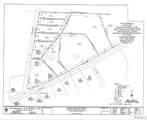 Lot 3 Longleaf - Photo 6