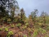0000 Cedar Grove Road - Photo 2