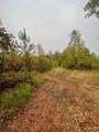 0000 Cedar Grove Road - Photo 3