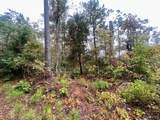 0000 Cedar Grove Road - Photo 4