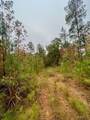 0000 Cedar Grove Road - Photo 6