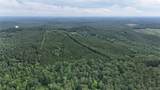 0 Skyview Lake - Photo 22