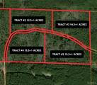 2 Samson Clements Loop Road - Photo 8