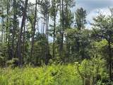 4 Samson Clements Loop Road - Photo 2