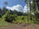 4 Samson Clements Loop Road - Photo 4